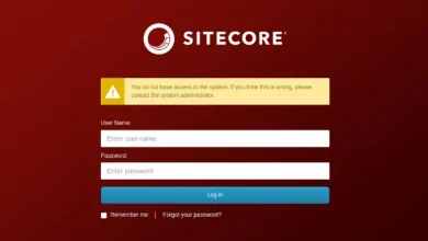 Hard-Coded 'b' Password in Sitecore XP Sparks Major RCE Risk in Enterprise Deployments