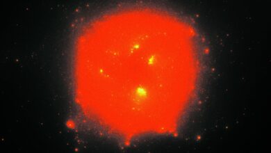 Scientists Working to Decode Signal From Earliest Years of Universe