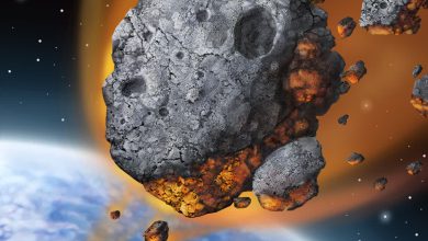 Venus may be hiding several asteroids that could one day cross Earth's path