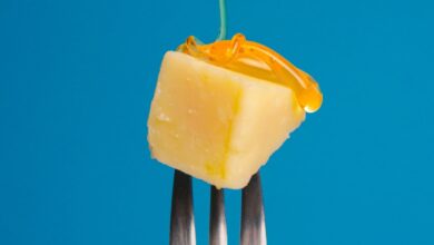 Designer Bacteria Could One Day Make Cheese Without Milk