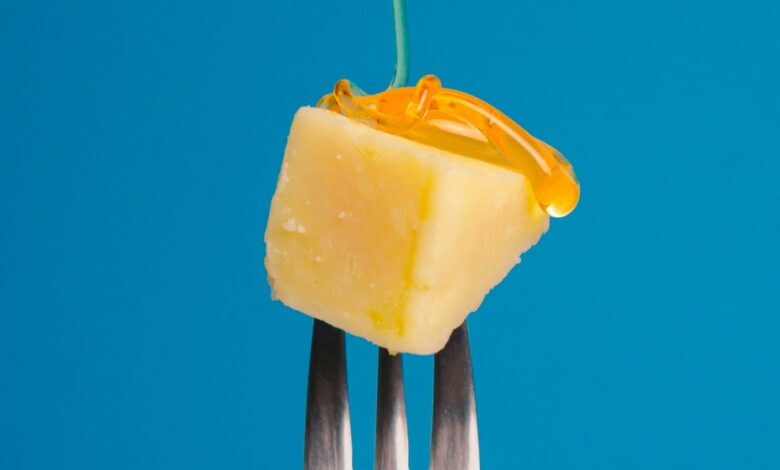 Designer Bacteria Could One Day Make Cheese Without Milk