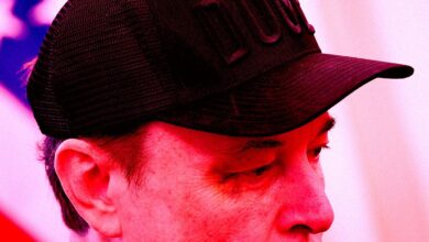 Elon Musk Humiliated by Top Scientific Organization