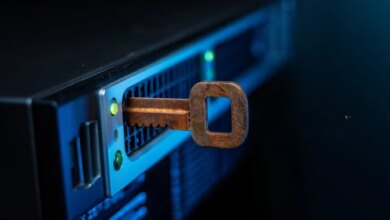 Gold Melody IAB Exploits Exposed ASP.NET Machine Keys for Unauthorized Access to Targets