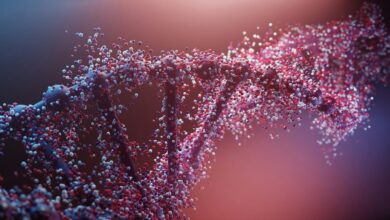 New Google AI Will Work Out What 98% of Our DNA Actually Does for the Body