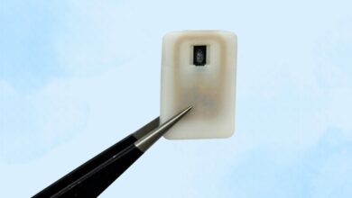 New MIT implant automatically treats dangerously low blood sugar in people with type 1 diabetes