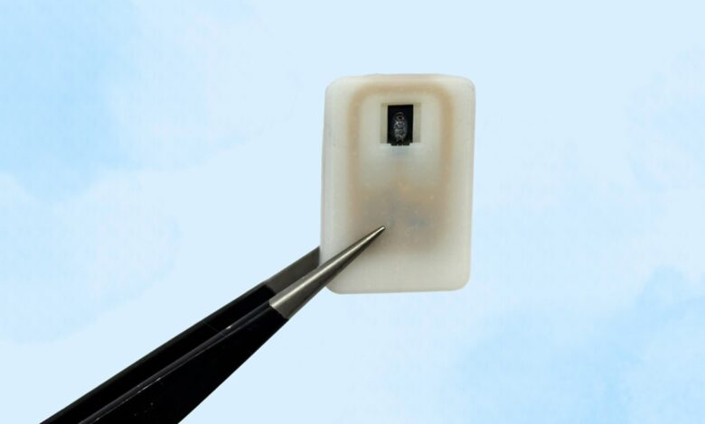 New MIT implant automatically treats dangerously low blood sugar in people with type 1 diabetes