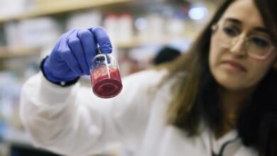 Researchers create artificial blood for on-the-spot use in accidents and combat