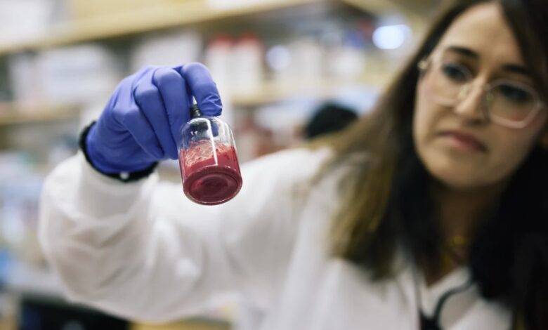 Researchers create artificial blood for on-the-spot use in accidents and combat