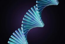 Scientists Launch Moonshot to Build an Entire Human Genome From Scratch