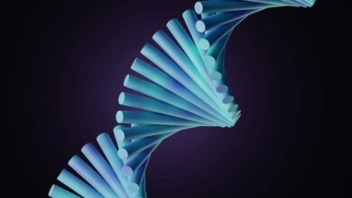 Scientists Launch Moonshot to Build an Entire Human Genome From Scratch