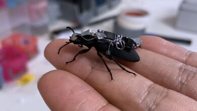 Video Friday: Cyborg Beetles May Speed Disaster Response One Day
