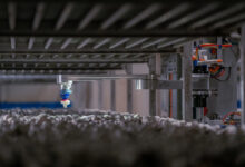 4AG Robotics picks up $29M for mushroom harvesting robots