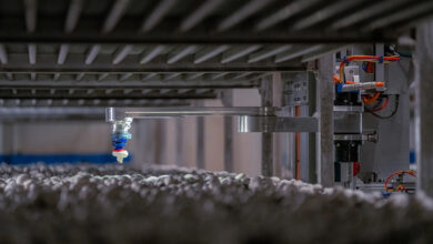 4AG Robotics picks up $29M for mushroom harvesting robots