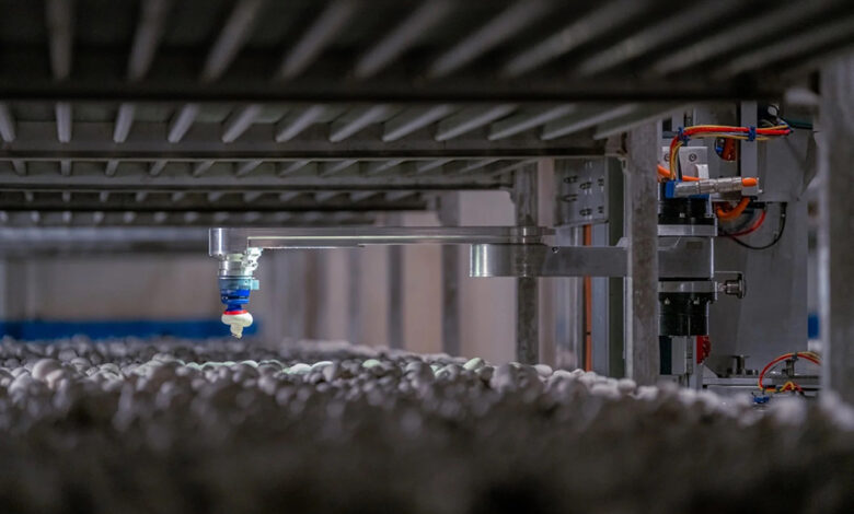 4AG Robotics picks up $29M for mushroom harvesting robots