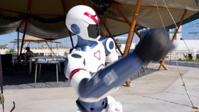 A Humanoid Robot Is Now on Sale for Under $6,000—What Can You Do With It?