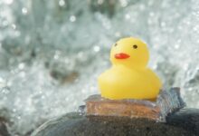 AI Designs Underwater Super Glue That Grips Like a Barnacle