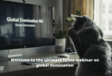 Former Googlers’ AI startup OpenArt now creates ‘brain rot’ videos in just one click