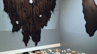 Indigenous knowledge meets artificial intelligence