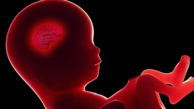 New IVF Startup Claims It Can Predict an Embryo's IQ
