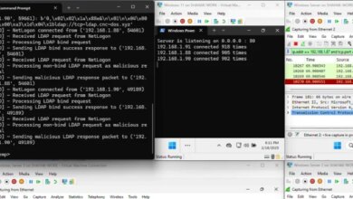 New Win-DDoS Flaws Let Attackers Turn Public Domain Controllers into DDoS Botnet via RPC, LDAP