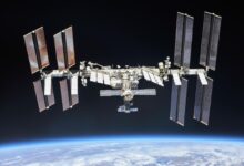 Scientists are growing tumors in space to study how to personalize cancer treatment