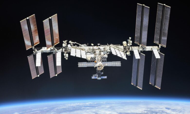 Scientists are growing tumors in space to study how to personalize cancer treatment