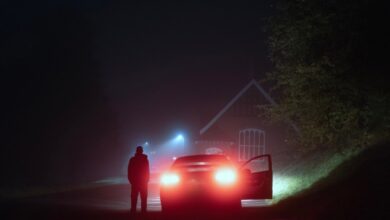 Security flaws in a carmaker’s web portal let one hacker remotely unlock cars from anywhere