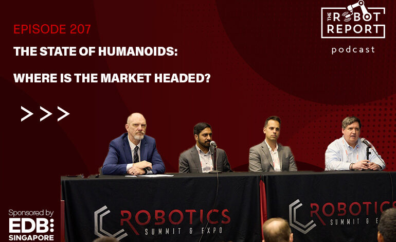 The state of humanoids: Where is the market headed?