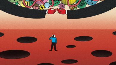 How Trump’s policies are affecting early-career scientists—in their own words
