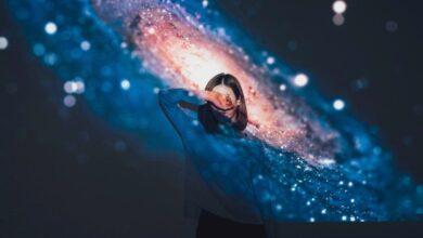 Major Theories of Consciousness May Have Been Focusing on the Wrong Part of the Brain
