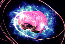 Neuroscientist Says We’re All Wrong About Root of Consciousness in Our Brains