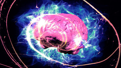 Neuroscientist Says We’re All Wrong About Root of Consciousness in Our Brains