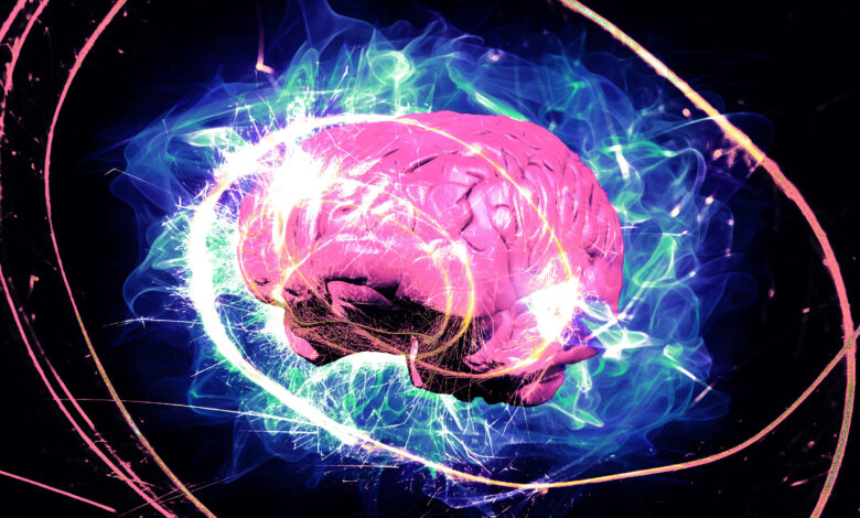 Neuroscientist Says We’re All Wrong About Root of Consciousness in Our Brains