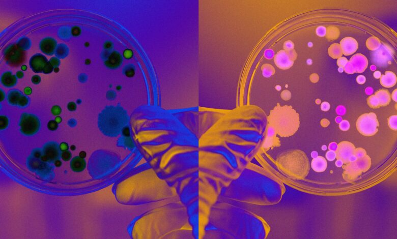 Scientists Debate Whether to Halt Type of Research That Could Destroy All Life on Earth