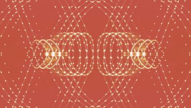 Scientists Just Made ‘Biological Qubits’ That Act as Quantum Sensors Inside Cells