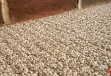This trick pulls more pet hair out of fabric than my vacuum ever did