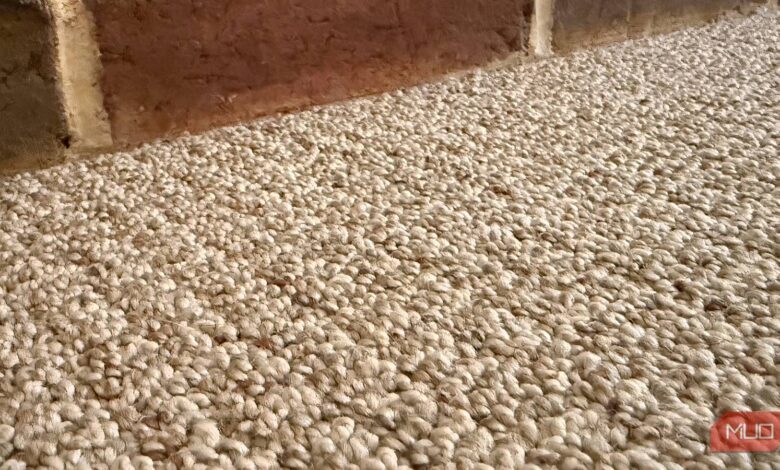 This trick pulls more pet hair out of fabric than my vacuum ever did