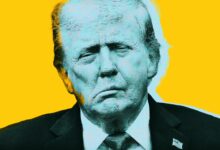 Trump's Biggest Fans Furious at His Embrace of AI