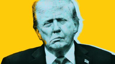 Trump's Biggest Fans Furious at His Embrace of AI