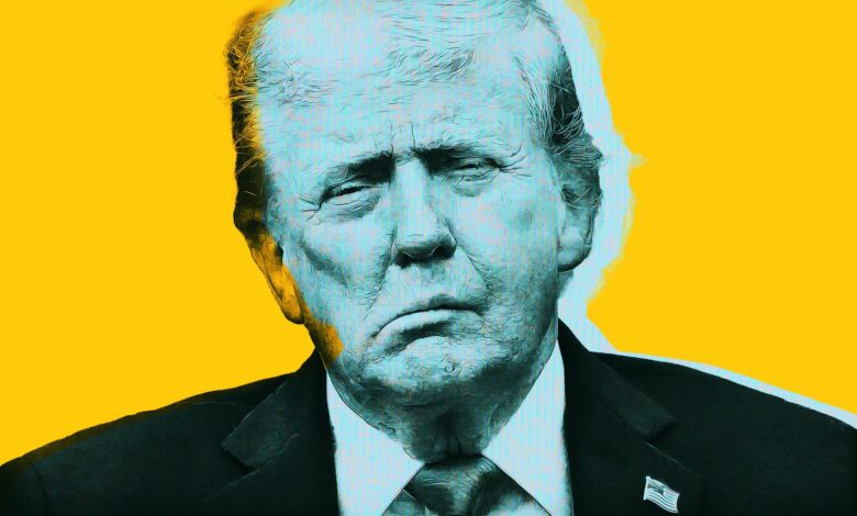 Trump's Biggest Fans Furious at His Embrace of AI