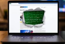 Vane Viper Generates 1 Trillion DNS Queries to Power Global Malware and Ad Fraud Network
