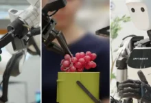 Video Friday: Gemini Robotics Improves Motor Skills