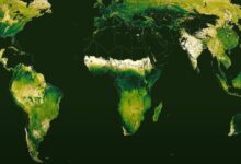 Watch Earth’s Seasons Change the Face of the Planet in a New Animated Map