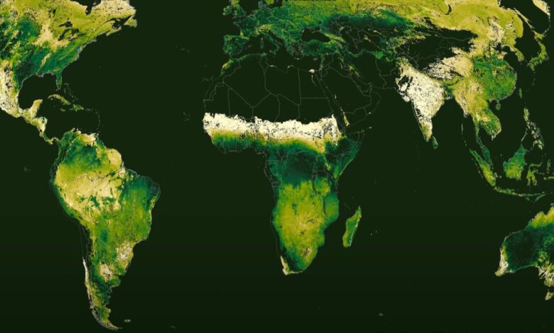 Watch Earth’s Seasons Change the Face of the Planet in a New Animated Map