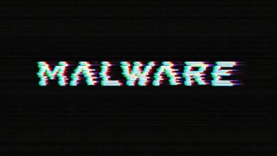 Rhadamanthys Stealer Evolves: Adds Device Fingerprinting, PNG Steganography Payloads