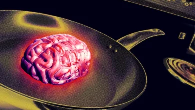 AI Use at Work Is Causing “Brain Fry,” Researchers Find, Especially Among High Performers