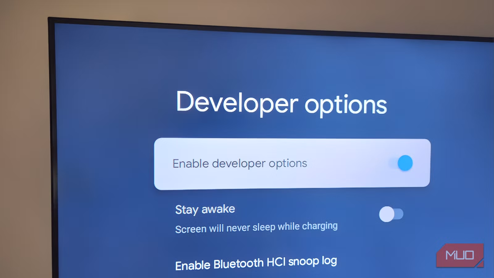 I unlocked Developer Mode on my Android TV and made it noticeably more responsive