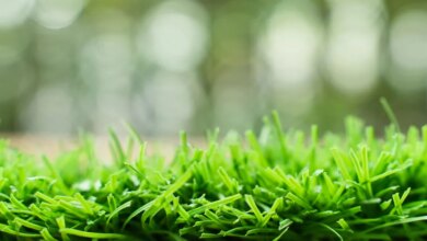 Is fake grass a bad idea? The AstroTurf wars are far from over.